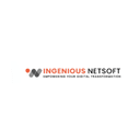 Ingenious Netsoft logo
