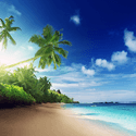 Beach Live Wallpaper