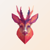 Roebuck App Review
