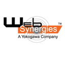 Web Synergies (S) Pte Ltd logo