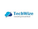 TechWize logo