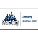 SEARCH BERG logo