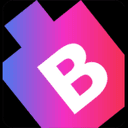 Bitswits logo