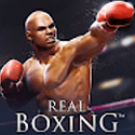 Real Boxing
