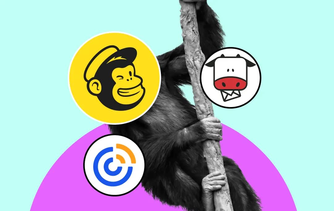 Best Mailchimp Alternatives