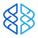 MagnusMinds IT Solution logo
