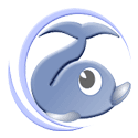 Rapid Typing Tutor