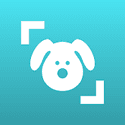 Dog Scanner