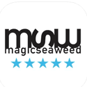 MSW Surf Forecast