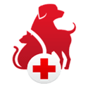 Pet First Aid