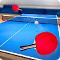 Table Tennis Touch