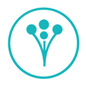 Wedding Planner by WeddingWire