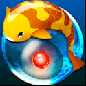 Zen Koi