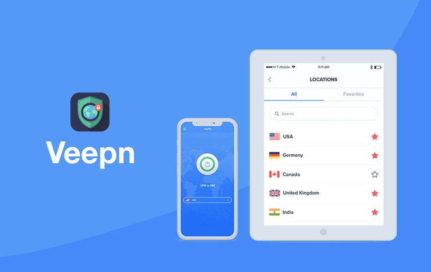 VeePN Banner