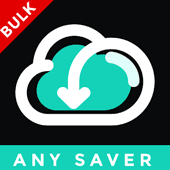 AnySaver