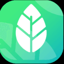Color Leaves logo