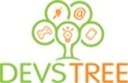 Devstree IT Services Pvt Ltd logo