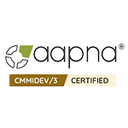 AAPNA Infotech logo