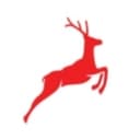 Big Leap logo