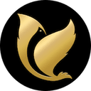 Vsple Technologies Private Limited logo