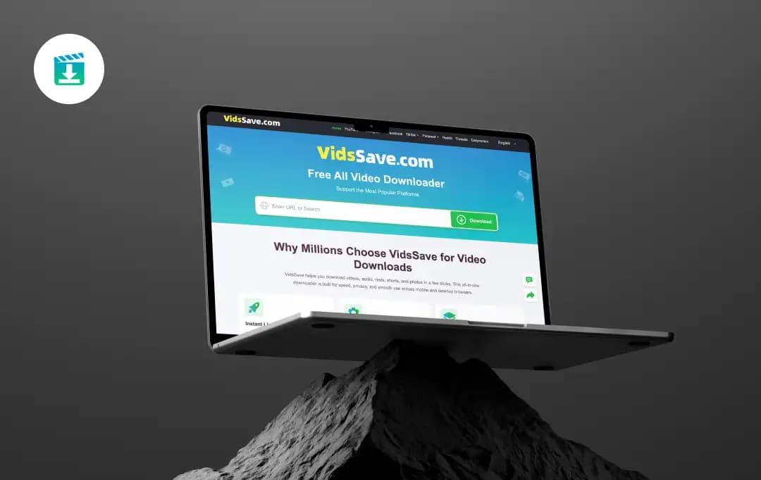 VidsSave Banner
