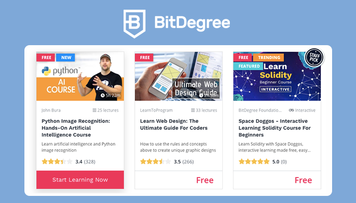 BitDegree Development Course